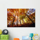 Trees In Autumn Wall Mural