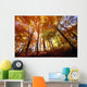 Trees In Autumn Wall Mural
