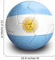 Soccer Football Argentina Wall Decal