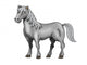 Black Horse