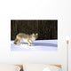 Coyote In Winter Wall Mural