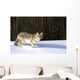 Coyote In Winter Wall Mural