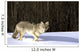 Coyote In Winter Wall Mural