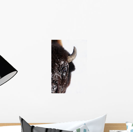 Bison In Winter Wall Mural