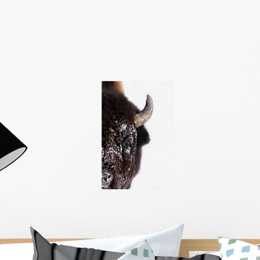 Bison In Winter Wall Mural