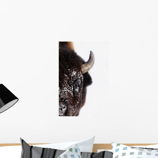 Bison In Winter Wall Mural