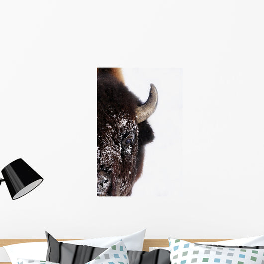 Bison In Winter Wall Mural