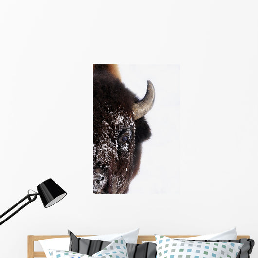 Bison In Winter Wall Mural