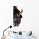 Bison In Winter Wall Mural