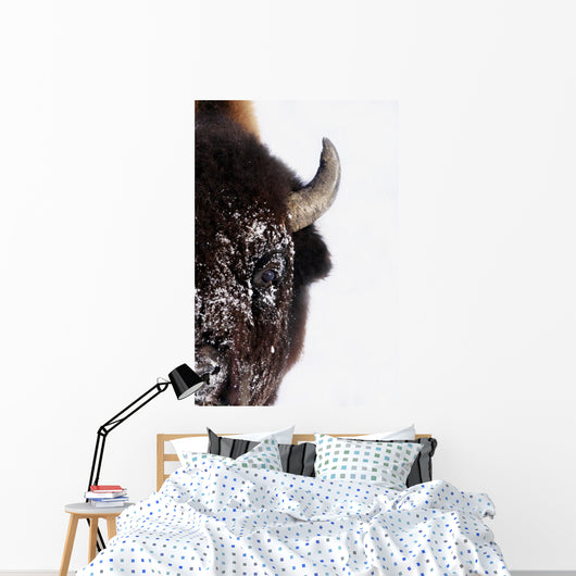 Bison In Winter Wall Mural