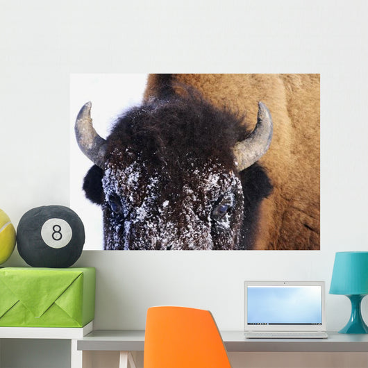Bison In Winter Wall Mural