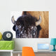 Bison In Winter Wall Mural