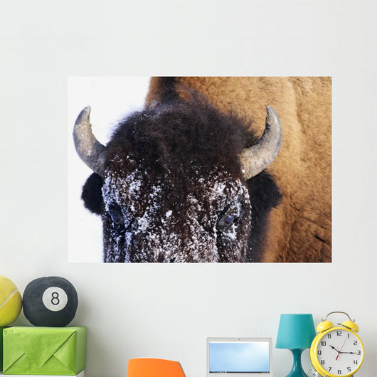 Bison In Winter Wall Mural