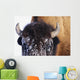 Bison In Winter Wall Mural
