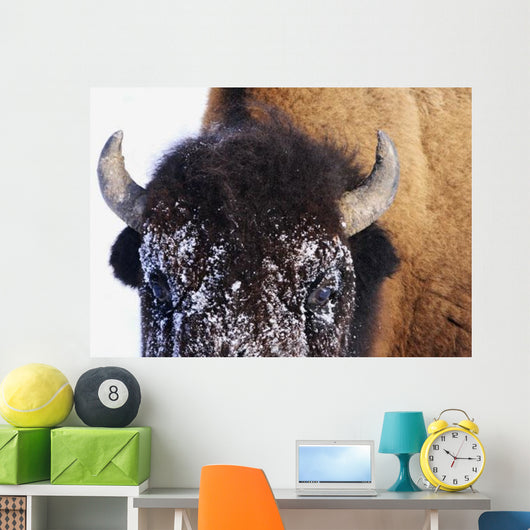 Bison In Winter Wall Mural
