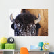 Bison In Winter Wall Mural