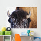 Bison In Winter Wall Mural