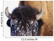 Bison In Winter Wall Mural