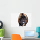 Bison In Winter Wall Mural