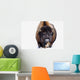 Bison In Winter Wall Mural