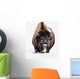 Bison In Winter Wall Mural