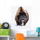 Bison In Winter Wall Mural