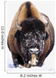 Bison In Winter Wall Mural