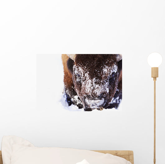 Bison In Winter Wall Mural