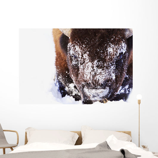 Bison In Winter Wall Mural