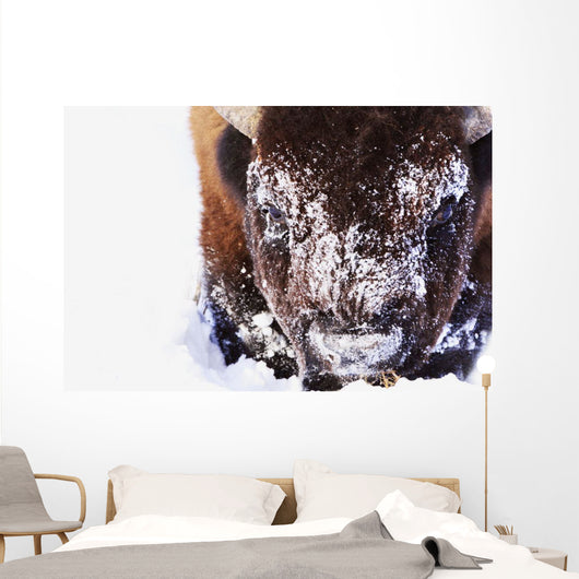 Bison In Winter Wall Mural