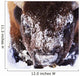 Bison In Winter Wall Mural