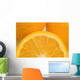 Oranges Wall Mural