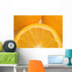 Oranges Wall Mural
