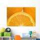 Oranges Wall Mural