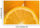 Oranges Wall Mural
