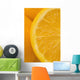 Oranges Wall Mural