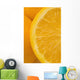 Oranges Wall Mural