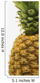 Pineapple Wall Mural