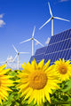 Wind turbines and solar panels on sunflowers field Wall Mural