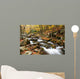 Stream Wall Mural