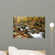 Stream Wall Mural