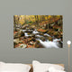 Stream Wall Mural