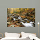 Stream Wall Mural
