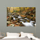 Stream Wall Mural