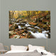 Stream Wall Mural