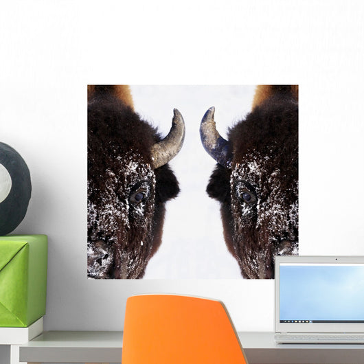 Bison In Winter Wall Mural