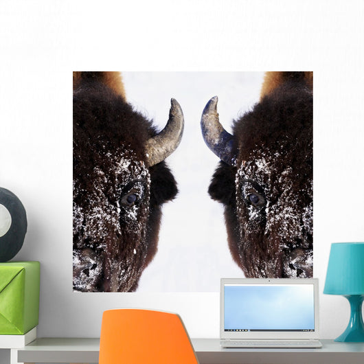 Bison In Winter Wall Mural
