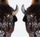 Bison In Winter Wall Mural