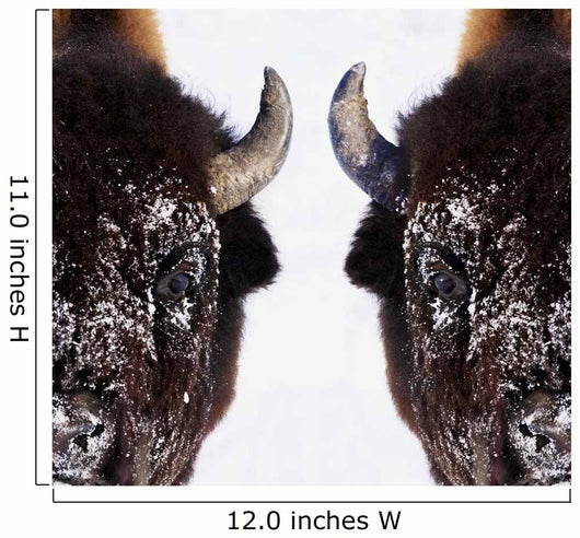 Bison In Winter Wall Mural