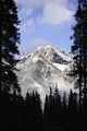 Cascade Mountains In Banff Wall Mural